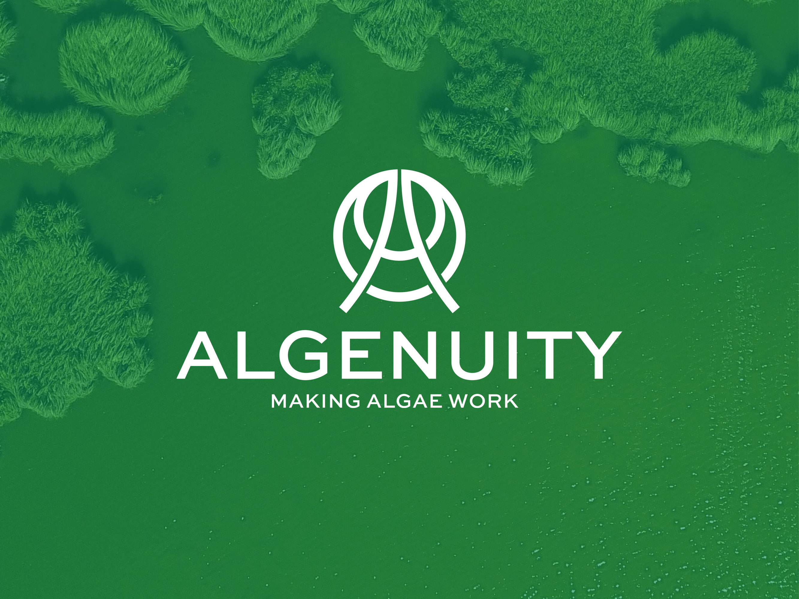 Algenuity biotech logo and branding design